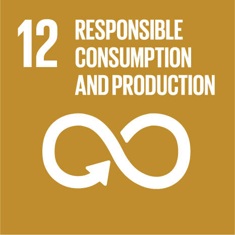 SDG Goal 12: Responsible Consumption and Production Icon