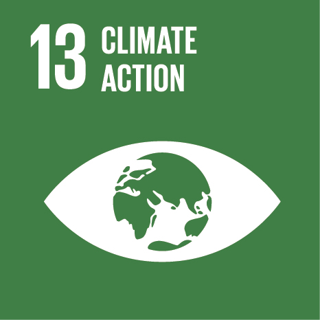 SDG Goal 13: Climate Action Icon