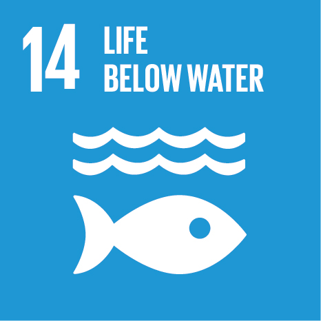SDG Goal 14: Life Below Water Icon