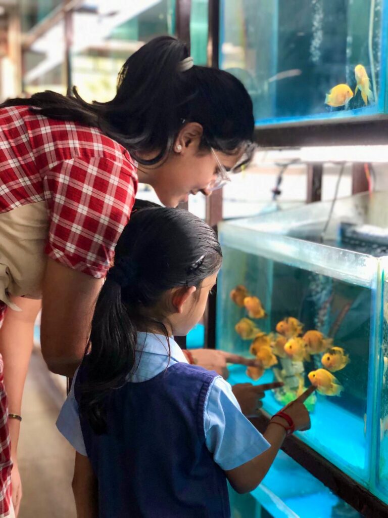 SDG Goal 14: Life Below Water Drive